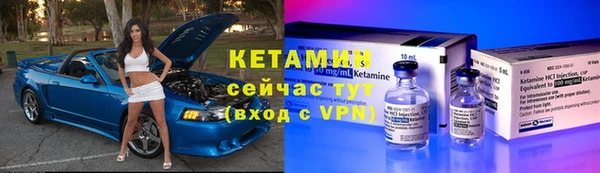 индика Осинники