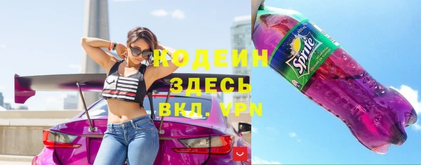 индика Осинники