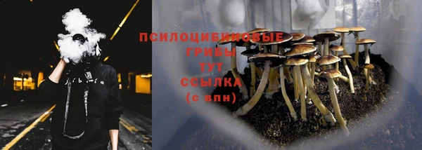 тгк Остров