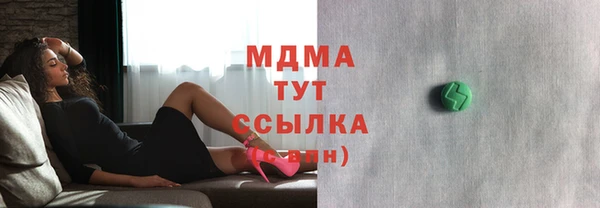 индика Осинники
