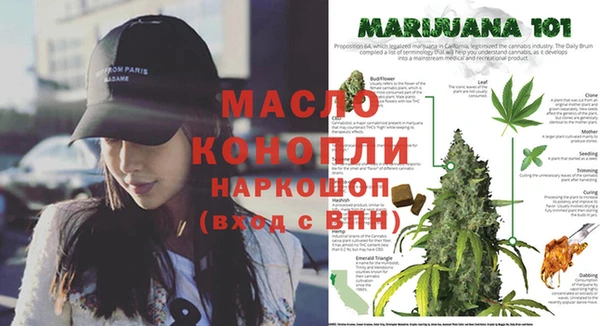 индика Осинники