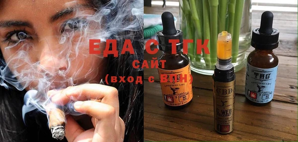 индика Осинники