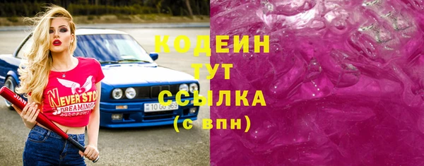 индика Осинники