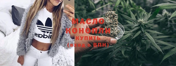 индика Осинники