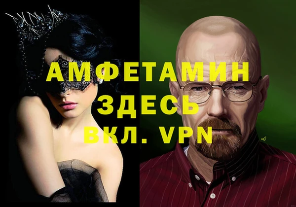 индика Осинники