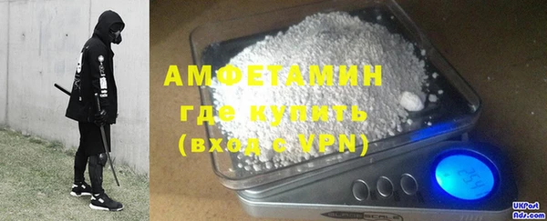 индика Осинники