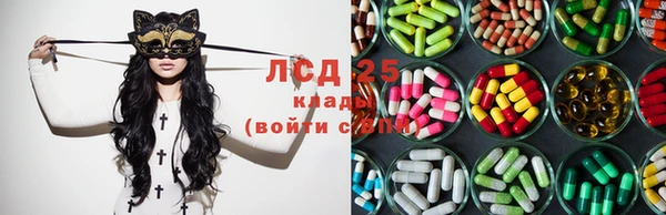 индика Осинники