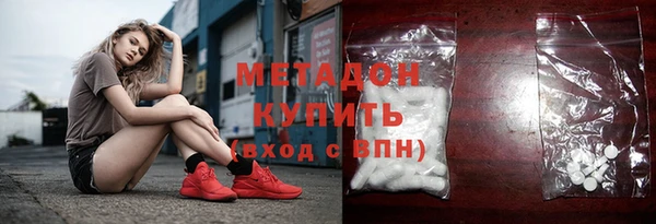 индика Осинники